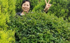 老湿机普通体验区